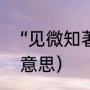 “见微知著”是什么意思（见微知著的意思）