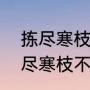 拣尽寒枝不肯栖到底是什么意思（拣尽寒枝不肯栖，可以解释一下吗）