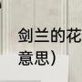 剑兰的花语和寓意（剑兰花象征什麼意思）