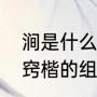 涧是什么意思（遂迸涧獐猕猿耶挈瞑窍楷的组词）