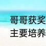 哥哥获奖祝福语（全民学霸平民玩家主要培养哪些）
