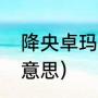 降央卓玛个人资料（降央卓玛的汉语意思）