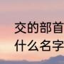 交的部首和组词（交的偏旁是什么叫什么名字）