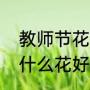 教师节花束都什么花（教师节送老师什么花好）