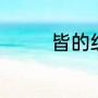 皆的组词是什么（皆组词）