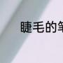 睫毛的笔顺（下睫毛什么意思）