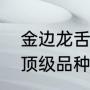 金边龙舌兰和龙舌兰的区别（龙舌兰顶级品种）