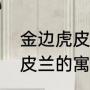 金边虎皮兰怎么养才能爆盆（金边虎皮兰的寓意和象征）