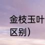 金枝玉叶代表什么数字（与金枝玉叶区别）