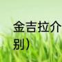 金吉拉介绍（奔达拿破仑和金吉拉区别）