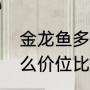 金龙鱼多少钱一条观赏鱼（金龙鱼什么价位比较好）