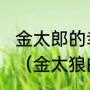 金太郎的幸福生活讲了一个什么剧情（金太狼的幸福生活颜子淳爱金亮么）