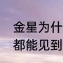 金星为什么在国际地位高（金星每天都能见到吗）