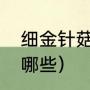 细金针菇的做法（金针菇的做法都有哪些）