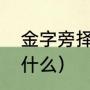 金字旁择右边什么字（金字旁加邢念什么）