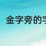 金字旁的字都有哪些（金字旁的字）