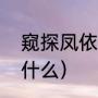 窥探凤依扮演者（九尾狐传里吐的是什么）
