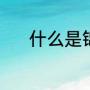 什么是锦纶（锦纶面料是什么）