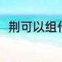 荆可以组什么词语（荆偏旁组词语）