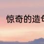 惊奇的造句怎么写（用惊奇造句子）