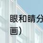 眼和睛分别指什么（睛一共有多少笔画）