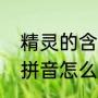 精灵的含义是什么（精灵旅社的汉语拼音怎么写）