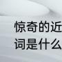 惊奇的近义词是神奇吗（惊奇的近义词是什么）