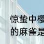 惊蛰中樱花的扮演者（惊蛰电视剧中的麻雀是谁）