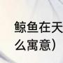 鲸鱼在天上飞寓意（鲸鱼的眼泪有什么寓意）