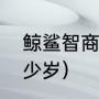 鲸鲨智商高吗（鲸鲨智商相当于人多少岁）