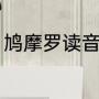 鸠摩罗读音和意思（鸠摩罗什的后代）