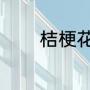 桔梗花花语（桔梗花的花语）