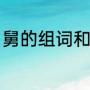 舅的组词和部首（五年级舅组词造句）