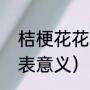 桔梗花花语（桔梗花的花语和象征代表意义）