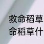 救命稻草什么意思（压死最后一根救命稻草什么意思）