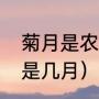 菊月是农历几月（被称为菊月的月份是几月）