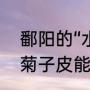 鄱阳的“水菊子”是不是艾草，艾叶（菊子皮能干什么）