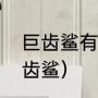巨齿鲨有天敌吗（什么鲨鱼能打败巨齿鲨）