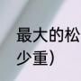 最大的松鼠是什么品种（松鼠最大多少重）