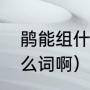 鹃能组什么词语（鹃能组词语组成什么词啊）