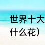 世界十大恐怖食人花（开一夜的花叫什么花）