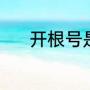 开根号是什么（开根号是什么）