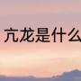 亢龙是什么龙（亢龙无悔是什么意思）