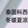 泰国科西嘉岛有什么特点（科西嘉岛冬暖夏凉的原因）