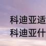 科迪亚适合什么地区种植（桑提娜和科迪亚什么区别啊）