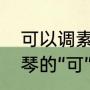 可以调素琴的调是什么音（可以调素琴的“可”是什么意思）