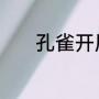孔雀开屏属于动物的什么行为