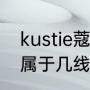 kustie蔻斯汀洗发水好不好（蔻斯汀属于几线品牌）