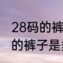 28码的裤子是L还是XL（28码的裤子的裤子是多长）