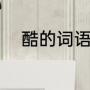 酷的词语（形容酷的词语有哪些）